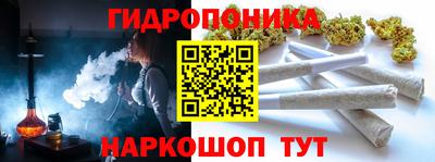 ГАЛЛЮЦИНОГЕННЫЕ ГРИБЫ Камышлов