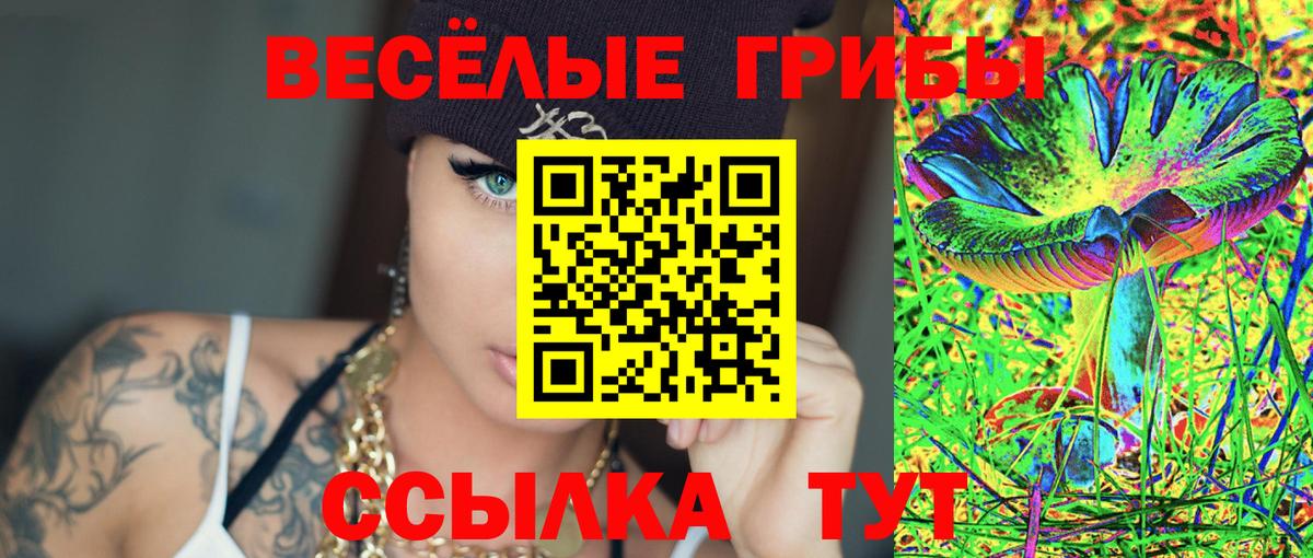 Псилоцибиновые грибы прущие грибы  Вход с VPN  купить наркоту  Псилоцибиновые грибы Psilocybe  Коркино 