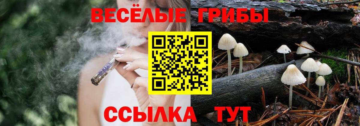 Галлюциногенные грибы MAGIC MUSHROOMS Коркино